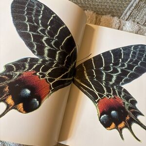 Vtg natural history museum coffee table book first edition photography historic